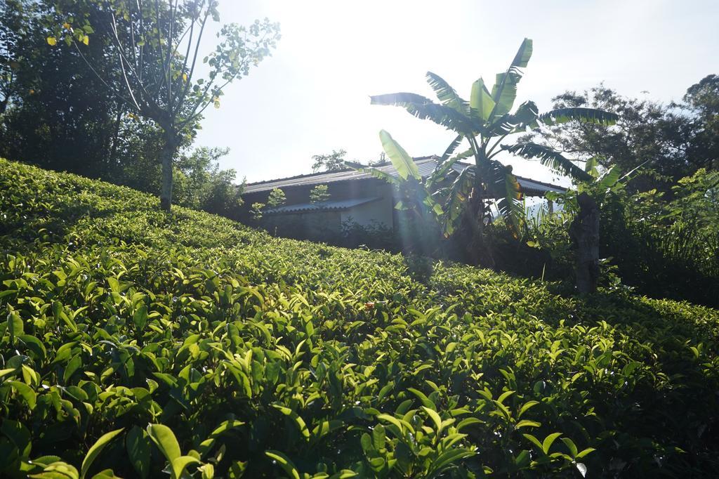 Tunnel Gap Homestay Ella Exterior photo